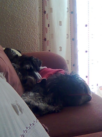 Hechando una siesta
